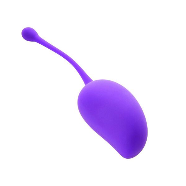 Sincerely Kegel Exercise System Set of 3