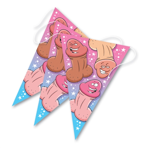 Bachelorette Party Banner with cartoon penises